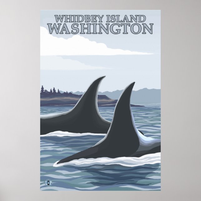 Orca Whales #1 - Whidbey, Washington Poster (Framsidan)