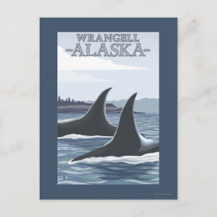 Orca Whales #1 - Wrangell, Alaska Vykort