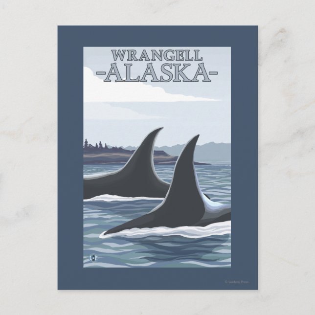 Orca Whales #1 - Wrangell, Alaska Vykort (Framsida)
