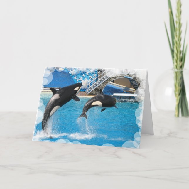 Orca Whales Greeting Card Kort (Framsida)