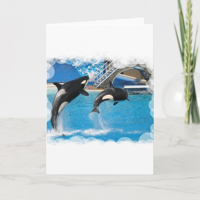 Orca Whales Greeting Card Kort (Framsida)