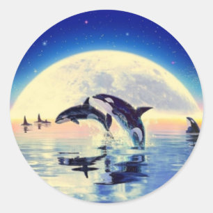 Orca Whales Runt Klistermärke