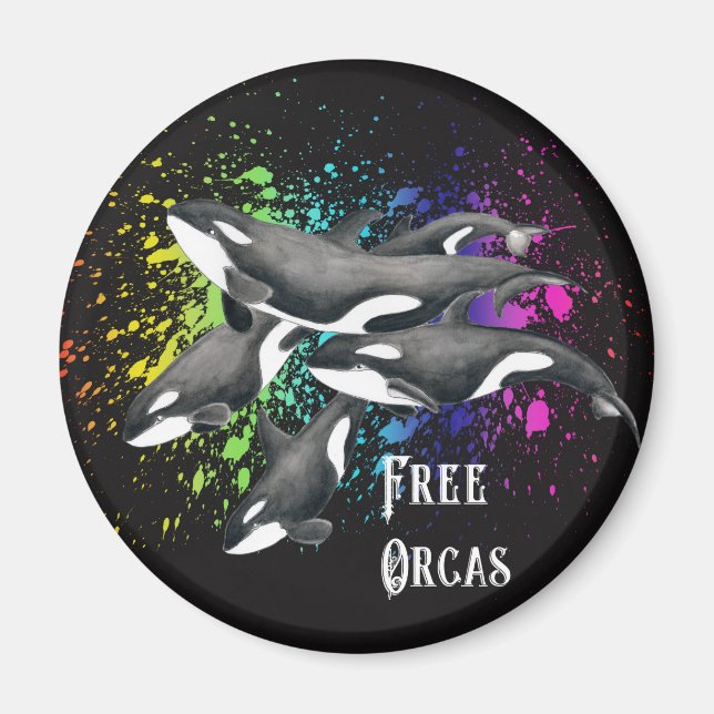 Orca Whales Watercolor Stänk Black Magnet (Framsidan)