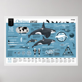 Orcagraphic poster - Nederländsk edition