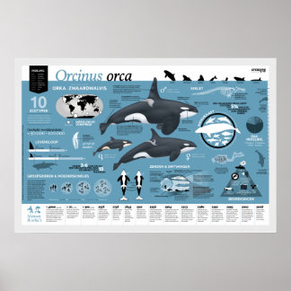Orcagraphic poster - Nederländsk edition