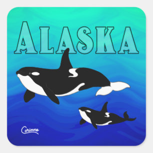 Orcas Alaska - Kuvert Stickers Fyrkantigt Klistermärke