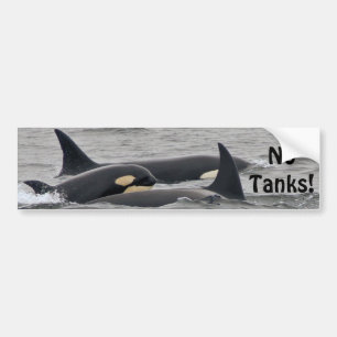 Orcas bildekal "för inga tanker"
