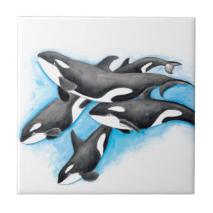 orcas i blått kakelplatta