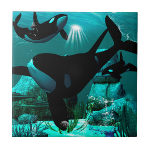 Orcas Kakelplatta