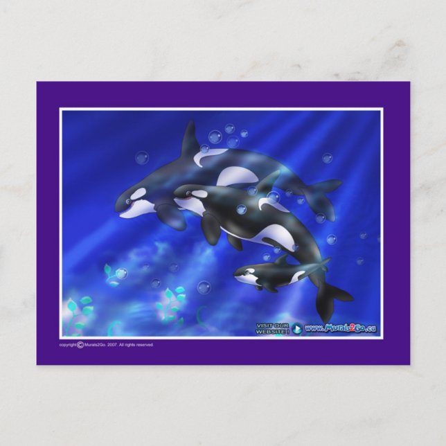 orcas vykort (Framsida)
