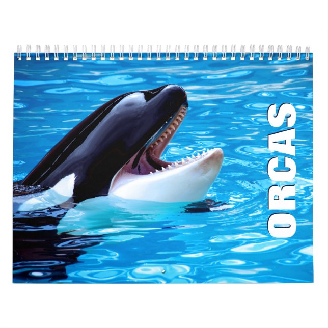 Orcas Wall Calendar Kalender (Omslag)