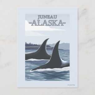 Orcaval #1 - Juneau, Alaska Vykort