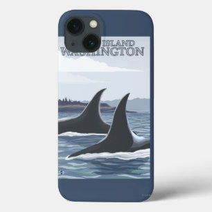 Orcaval #1 - Orcas ö, Washington