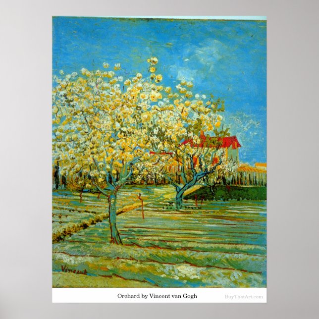 Orchard av Vincent van Gogh Poster (Framsidan)