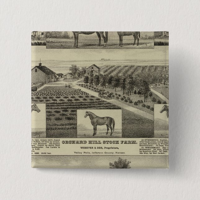 Orchard Backe och Cedar Grove, Kansas Knapp (Framsida)