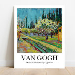 Orchard Borderade av Cypresses av Vincent van Gogh Poster<br><div class="desc">Orchard Borderade av Cypresses (1888) av Vincent Van Gogh</div>