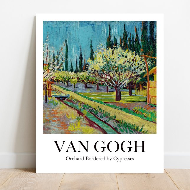 Orchard Borderade av Cypresses av Vincent van Gogh Poster (Van Gogh's Sun-Kissed Orchard: Brighten your walls! High-quality art poster)
