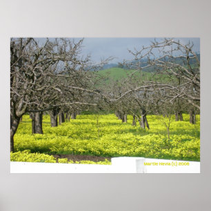 Orchard Fält Poster