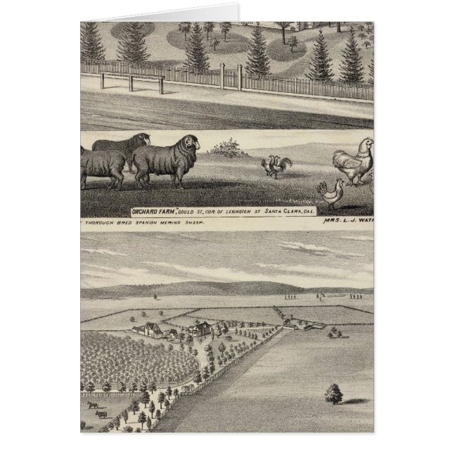 Orchard Farm, Somerville Lodge Hälsningskort (Framsidan)