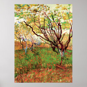 Orchard i Blommar av Vincent van Gogh Poster
