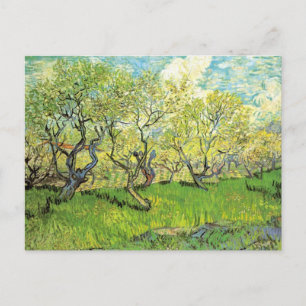 Orchard i Blommar av Vincent van Gogh Vykort