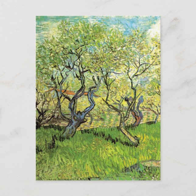 Orchard i Blommar av Vincent van Gogh Vykort (Framsida)