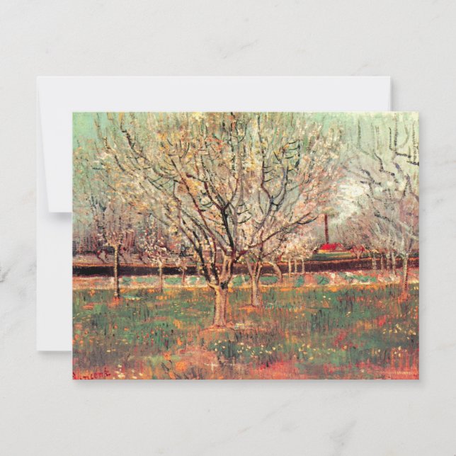 Orchard i Blommar, Plum Träd av Vincent van Gogh (Framsida)