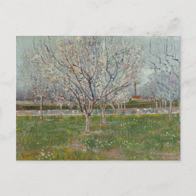 Orchard i Blommar Plum Träd av Vincent Van Gogh Vykort (Framsida)