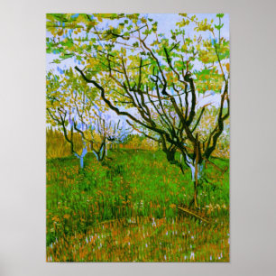 Orchard i Blommar Van Gogh Fine Art Poster
