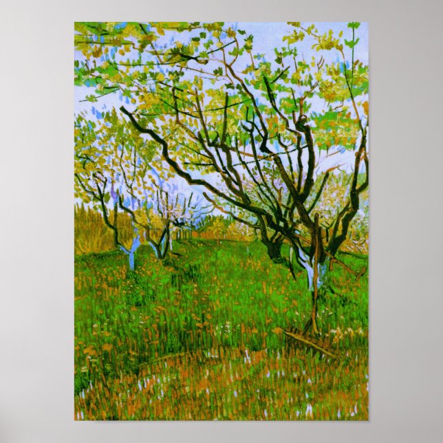 Orchard i Blommar Van Gogh Fine Art Poster (Framsidan)