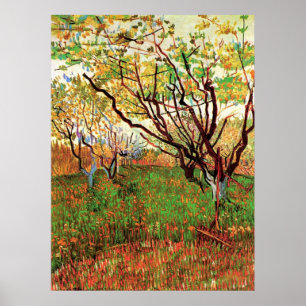 Orchard i Blommar Vincent van Gogh Poster