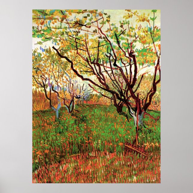 Orchard i Blommar Vincent van Gogh Poster (Framsidan)