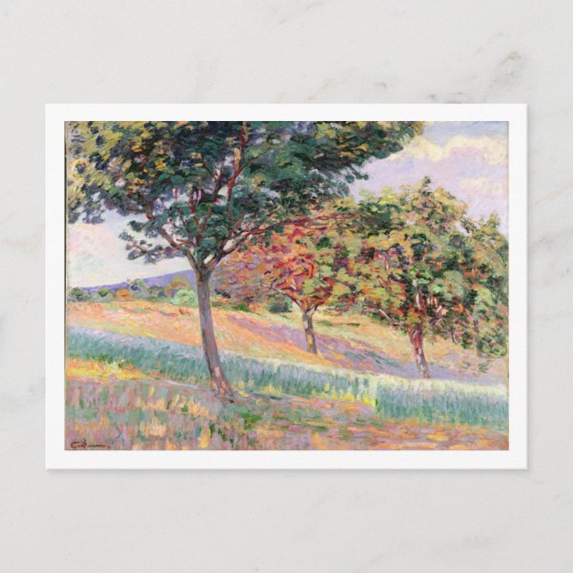 Orchard i St. Cheron, 1893 (olja på canvas) Vykort (Framsida)
