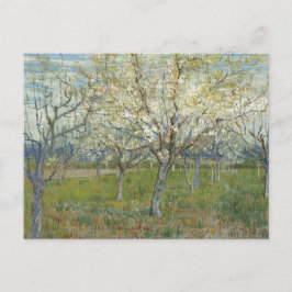 Orchard med Blossoming Apricot Träd - Van Gogh P Vykort