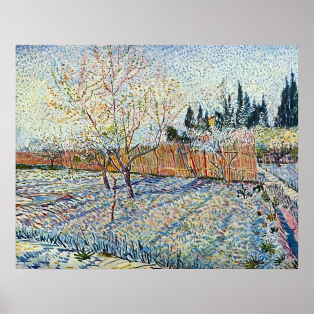 Orchard med cypress av Vincent van Gogh Poster (Framsidan)