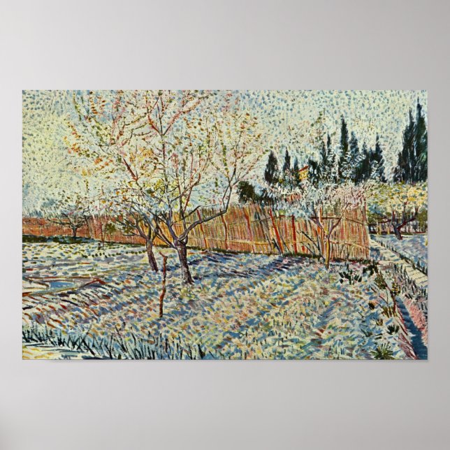 Orchard med cypress av Vincent Van Gogh Poster (Framsidan)