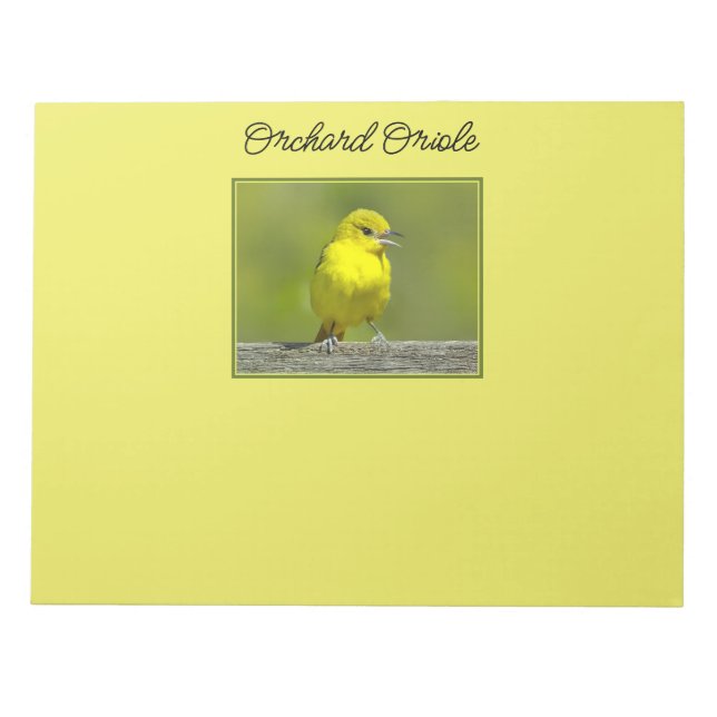 Orchard Oriole - Originalfotografi Anteckningsblock (Framsida)