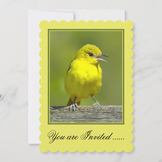 Orchard Oriole - Originalfotografi Inbjudningar (Framsida)