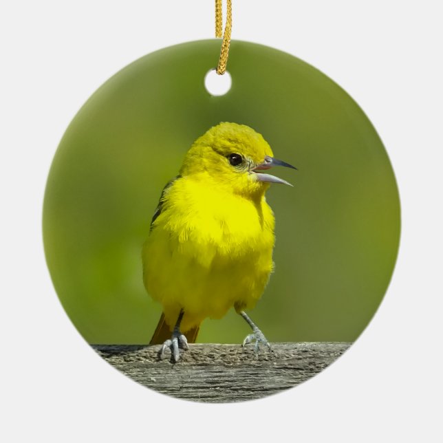 Orchard Oriole - Originalfotografi Julgransprydnad Keramik (Framsidan)