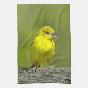 Orchard Oriole - Originalfotografi Kökshandduk