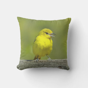 Orchard Oriole - Originalfotografi Kudde