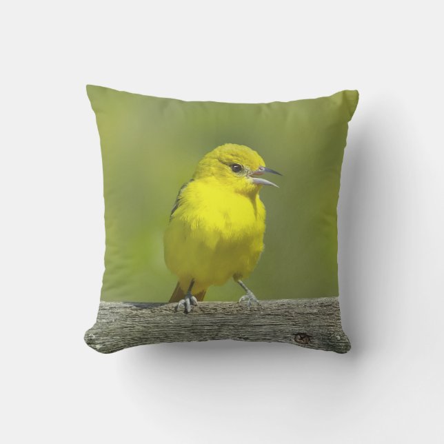 Orchard Oriole - Originalfotografi Kudde (Framsida)