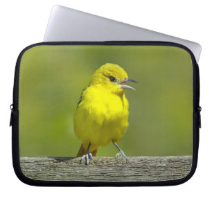 Orchard Oriole - Originalfotografi Laptop Fodral