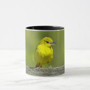 Orchard Oriole - Originalfotografi Mugg