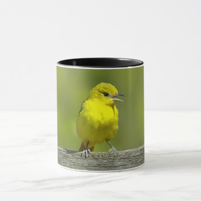 Orchard Oriole - Originalfotografi Mugg (Center)