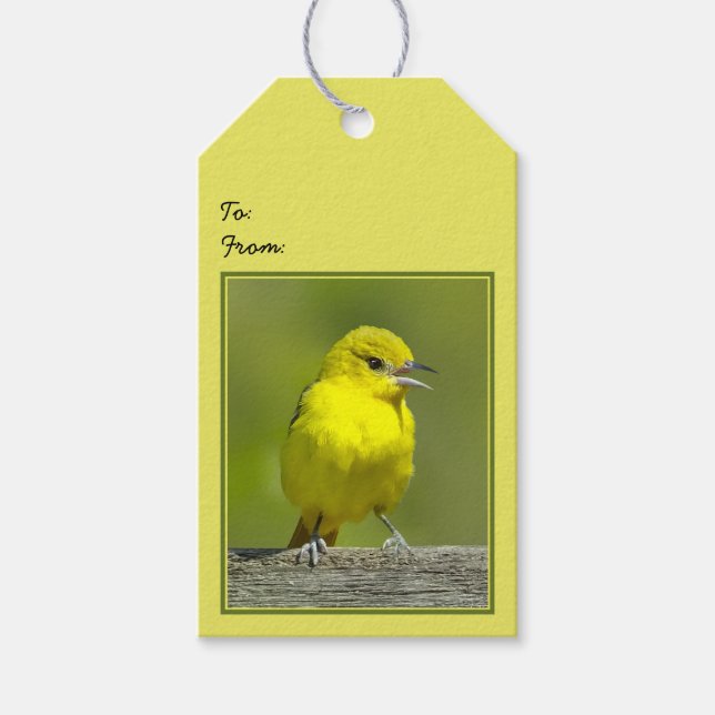 Orchard Oriole - Originalfotografi Presentetikett (Framsidan)