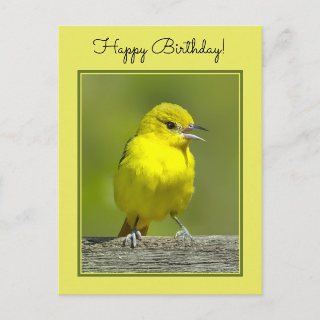 Orchard Oriole - Originalfotografi Vykort (Framsida)