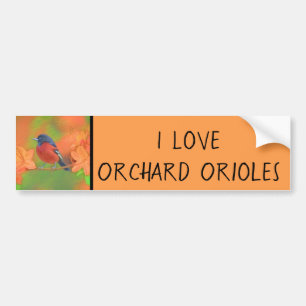 Orchard Oriole Songbird Painting Original Bird Art Bildekal