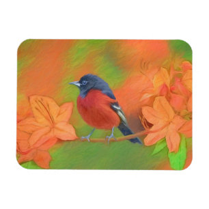 Orchard Oriole Songbird Painting Original Bird Art Magnet