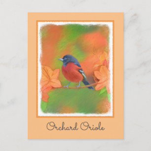 Orchard Oriole Songbird Painting Original Bird Art Vykort